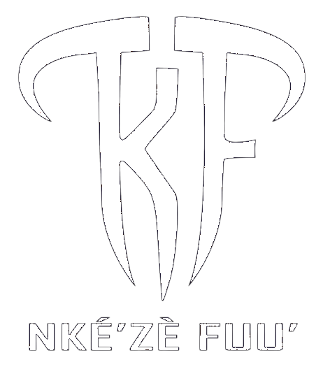 Nkezefuu Logo